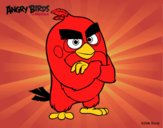 Red de Angry Birds