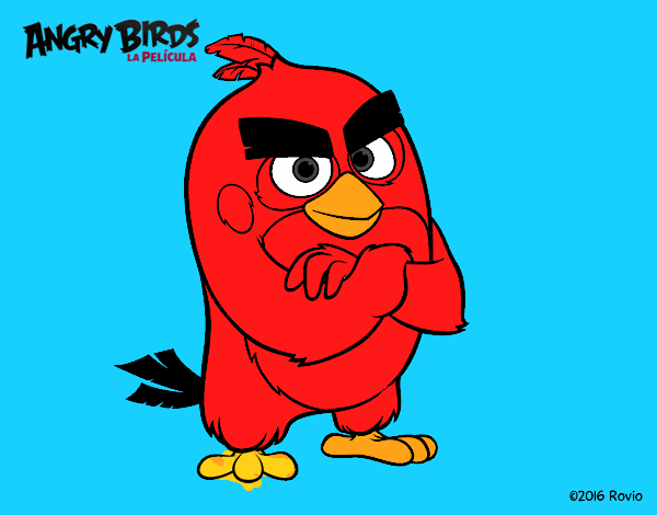 Red de Angry Birds