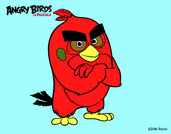 Red de Angry Birds