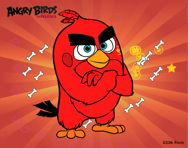 Red de Angry Birds