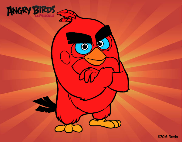 Red de Angry Birds