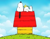 Snoopy durmiendo