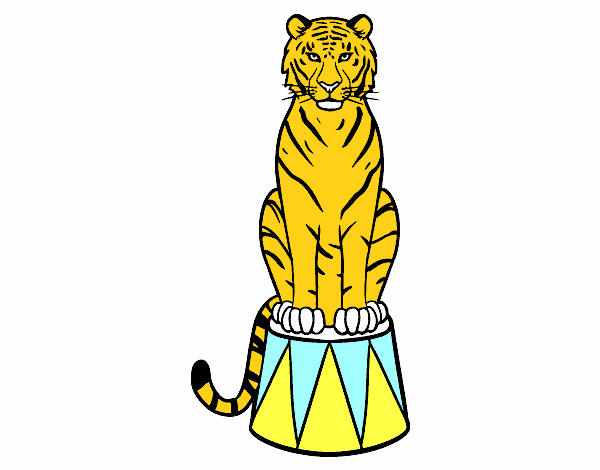 Tigre de circo