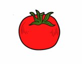 Dibujo Tomate ecológico pintado por ismargilpe