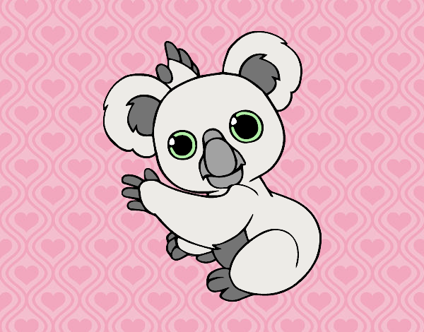 Un Koala