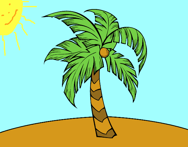 Una palmera