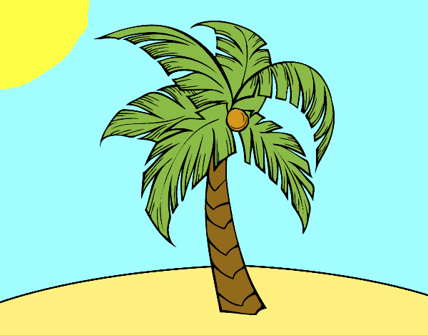 Una palmera