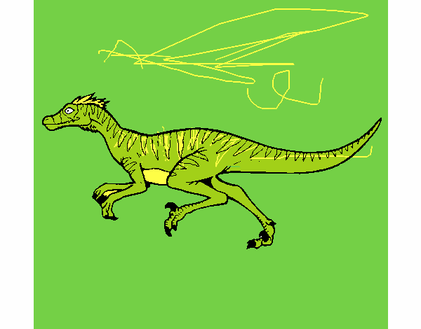 Velociraptor