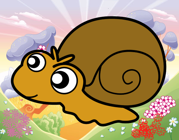 Caracol bebé