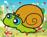 Caracol bebé