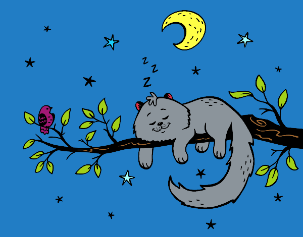 Dibujo El gato y la luna pintado por ferde