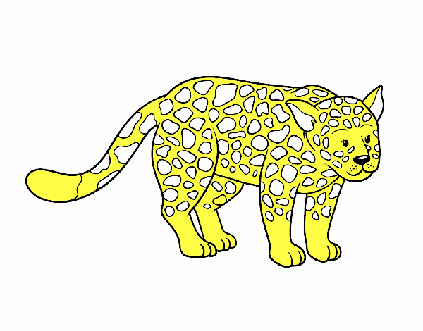El guepardo