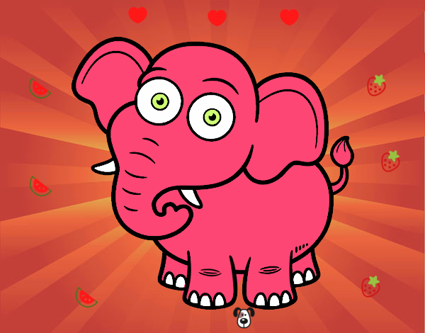 elefante rosa