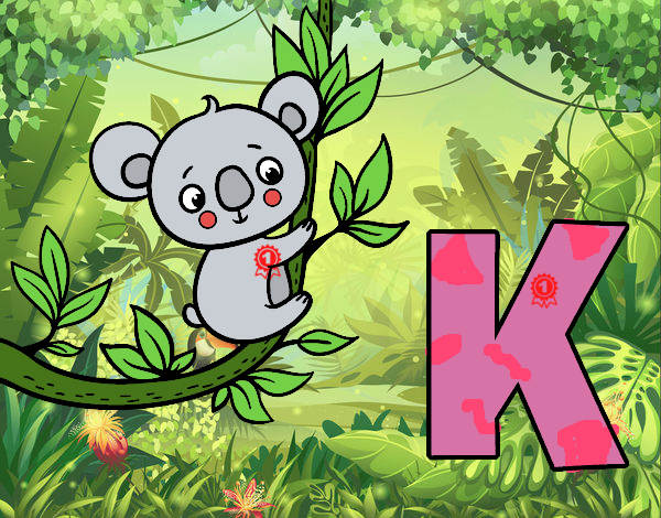 K de Koala