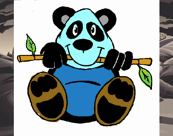 Oso panda