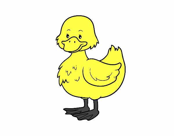 Patito de granja