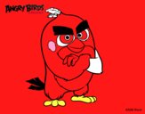 Red de Angry Birds