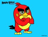 Red de Angry Birds