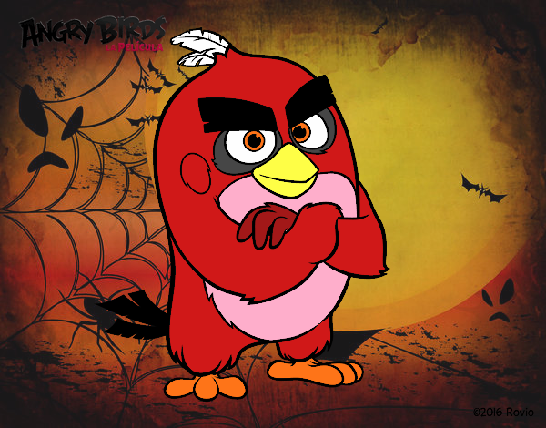 Red de Angry Birds