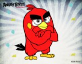 Red de Angry Birds