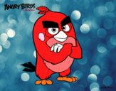 Red de Angry Birds