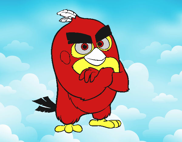 Red de Angry Birds