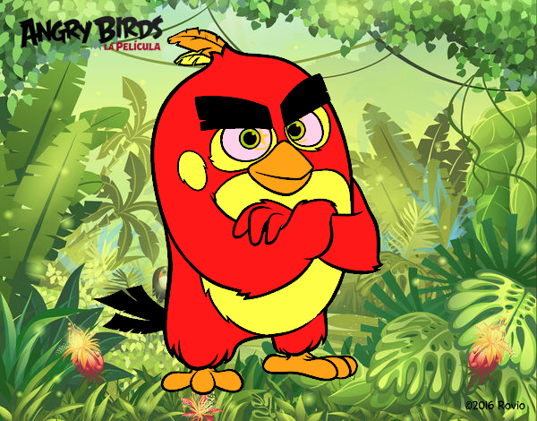 Red de Angry Birds