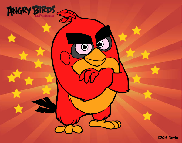 Red de Angry Birds