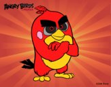 Red de Angry Birds