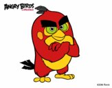 Red de Angry Birds