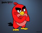 Red de Angry Birds