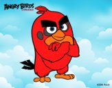 Red de Angry Birds