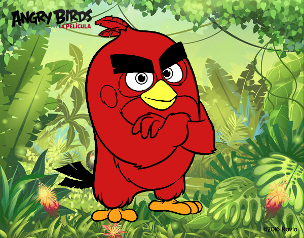 Red de Angry Birds