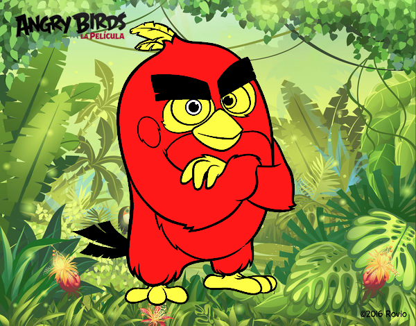 Red de Angry Birds