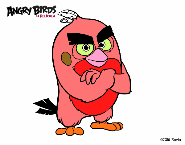 Red de Angry Birds