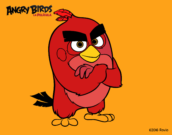 Red de Angry Birds