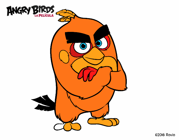 Red de Angry Birds