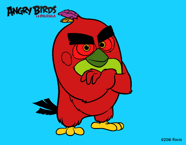 Red de Angry Birds