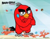 Red de Angry Birds