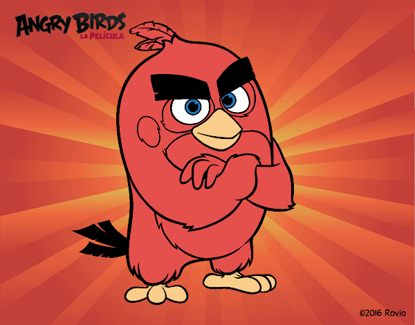 Red de Angry Birds