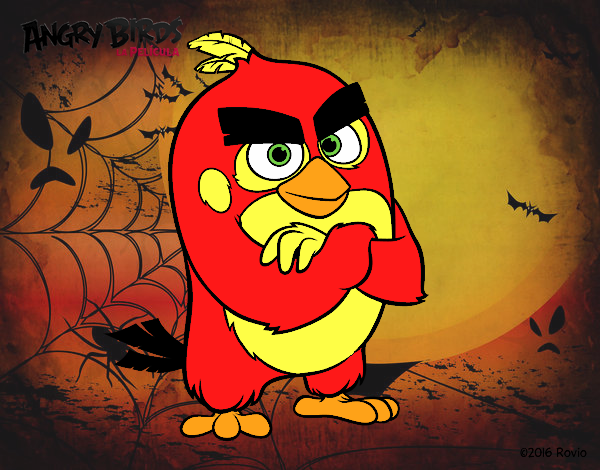 Red de Angry Birds