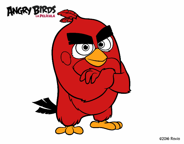 Red de Angry Birds