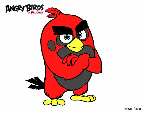 Red de Angry Birds