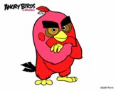 Red de Angry Birds