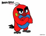 Red de Angry Birds