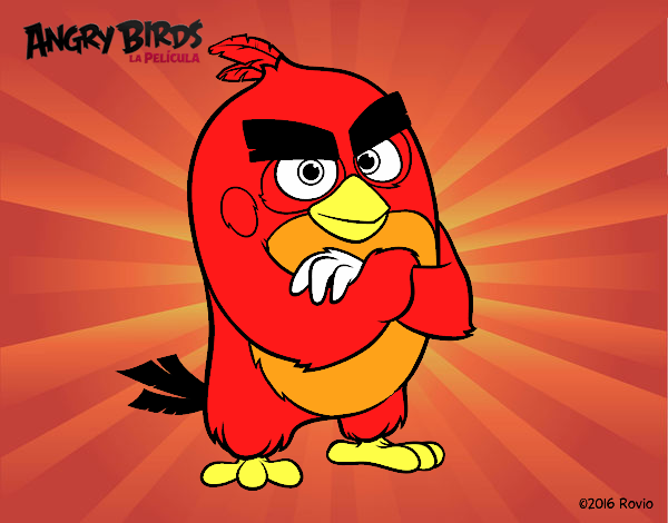 Red de Angry Birds