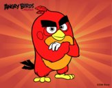 Red de Angry Birds