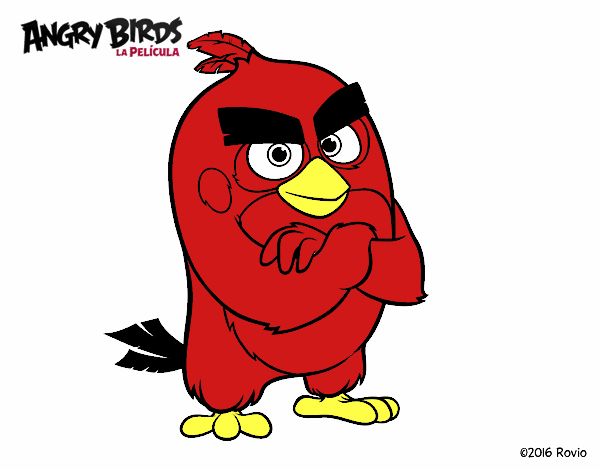 Red de Angry Birds