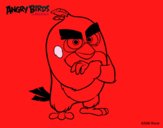 Red de Angry Birds