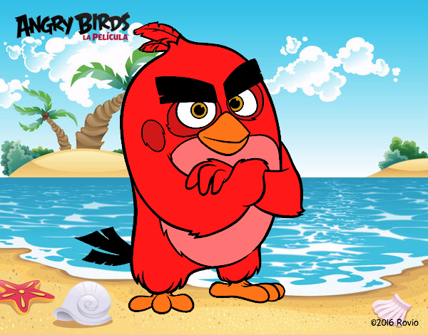 Red de Angry Birds